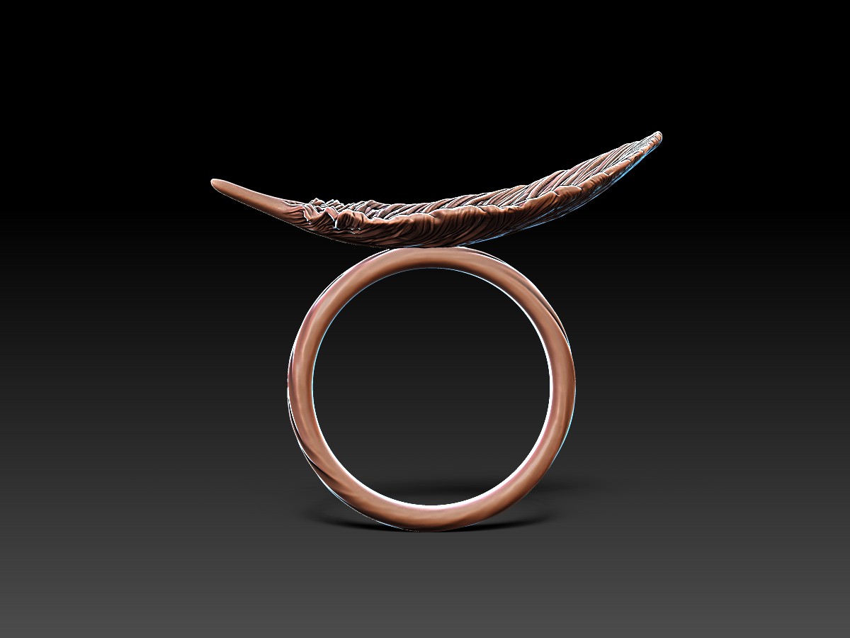 Rings with a Feather. Jewelry design and 3D Rendering. Sculpted jewellery.